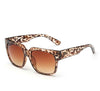 Outdoor Eyewear Fashion Sunglasses